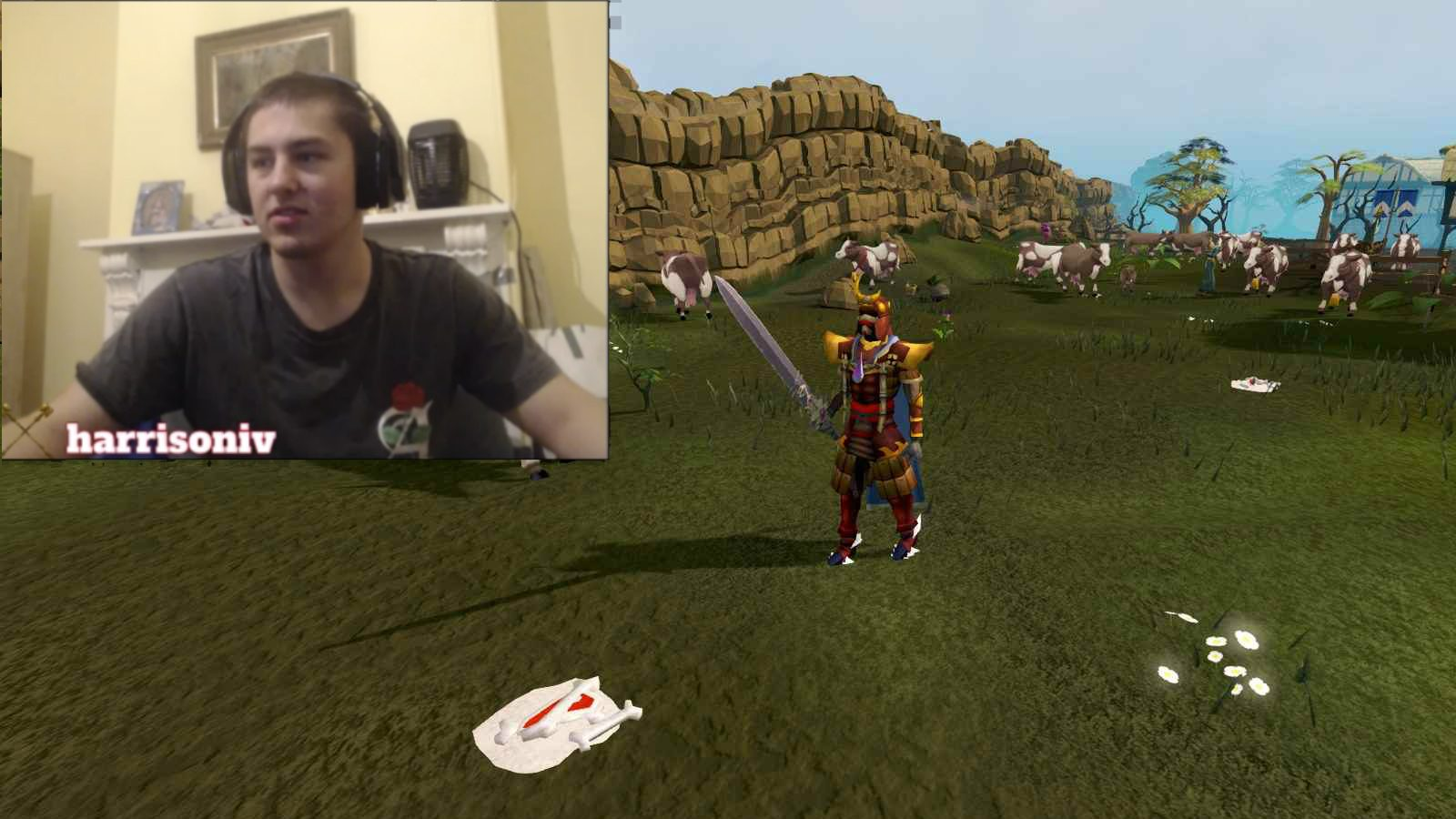 Image result for runescape streamer