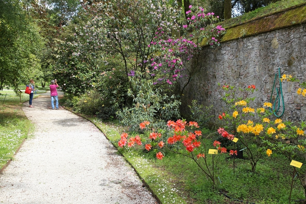 Orto Botanico Comunale di Lucca