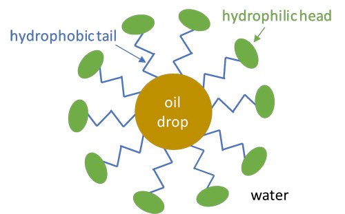 Schematic view of a micelle structure