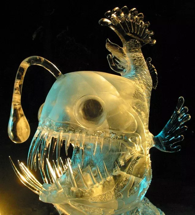 Image: angler fish