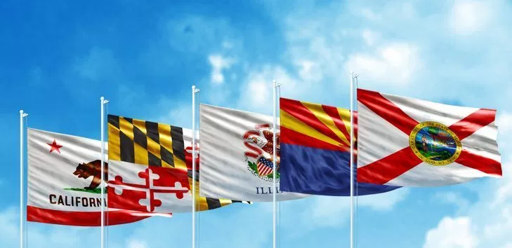 Image: State flags blowing in the breeze