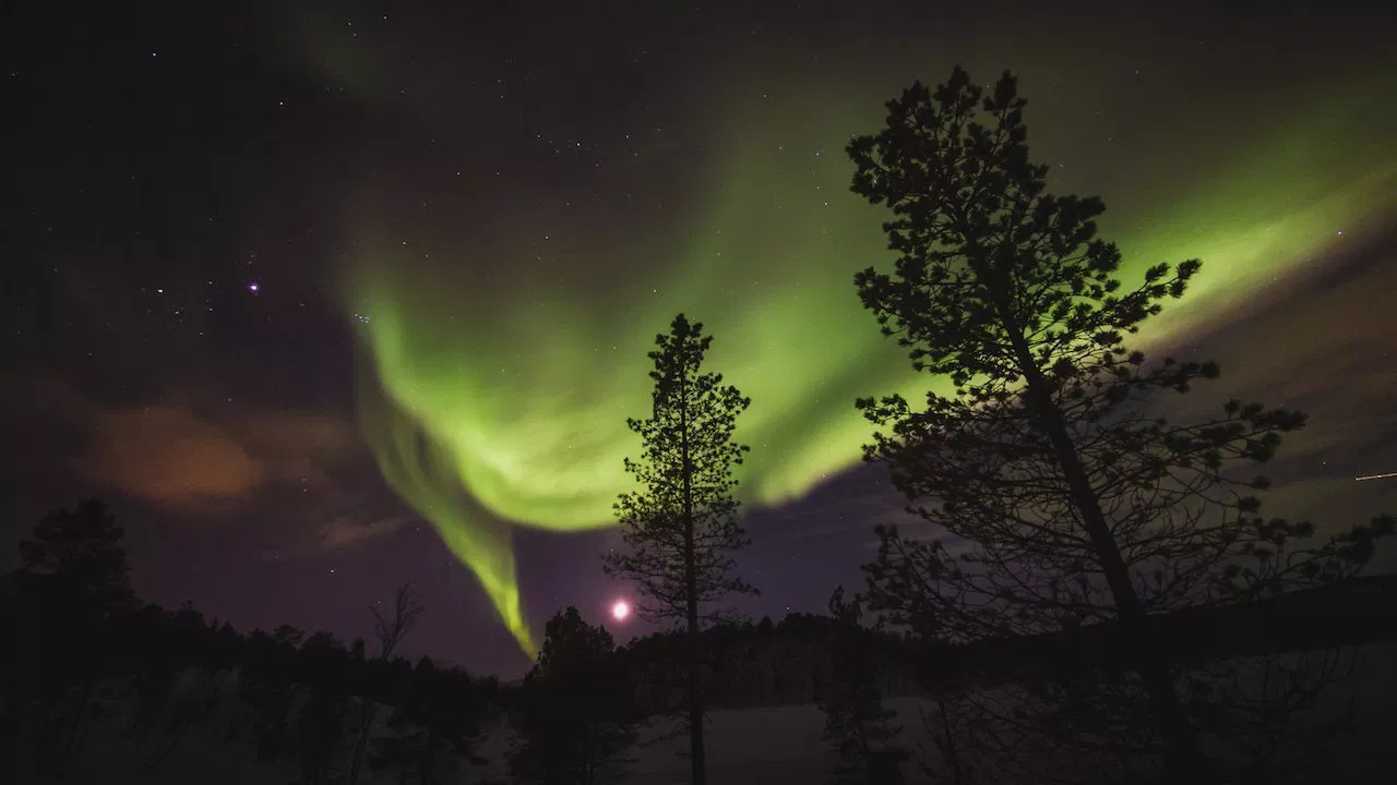 Image: Northern lights in the seasons of norway