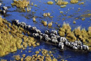 Delta del Okavango, en Bostwana