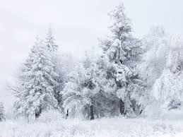 Image result for winter