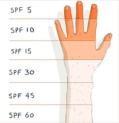 ค่าSPF