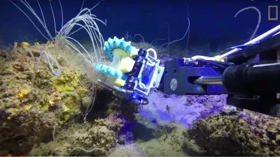Image: Soft finger material on the end of a robotic arm try to grab a fragile seafloor plant