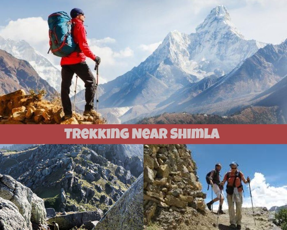 Trekking In Shimla