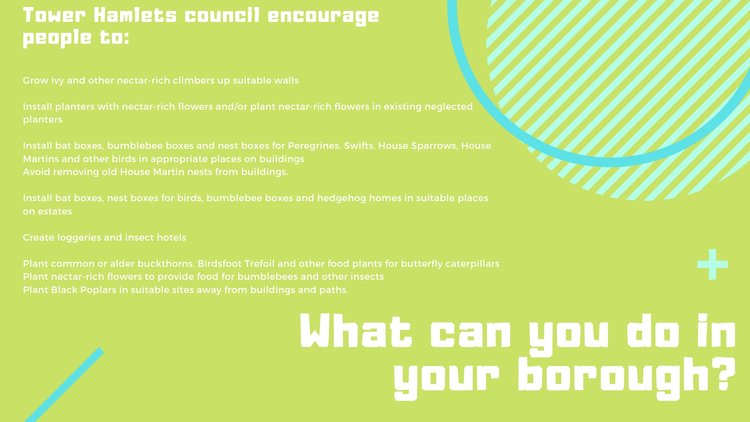 What can you do to help?