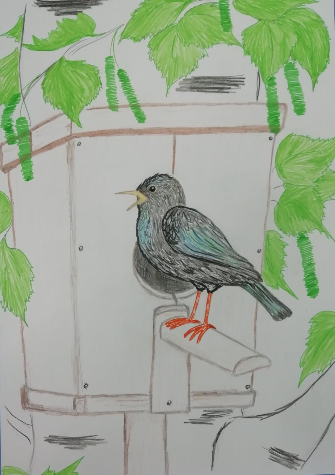 Птичий переполох выставка рисунков