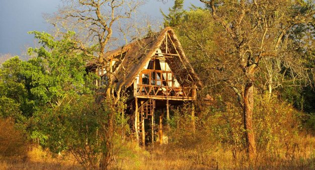 Facebook: Tree House - Norry Sfaris -Nairobi, Kenya