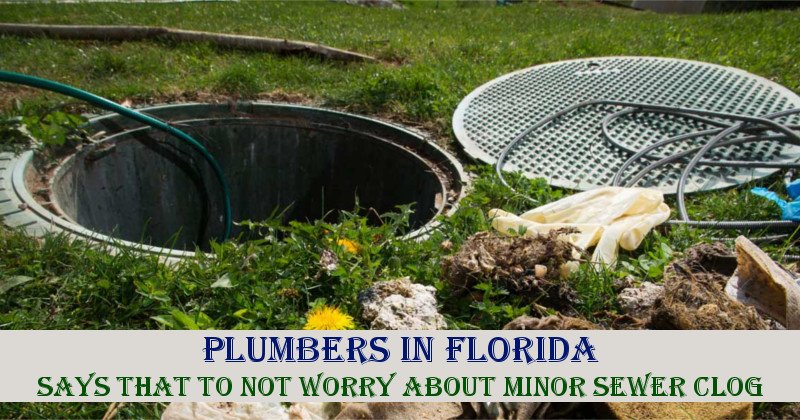 Plumbers In Florida