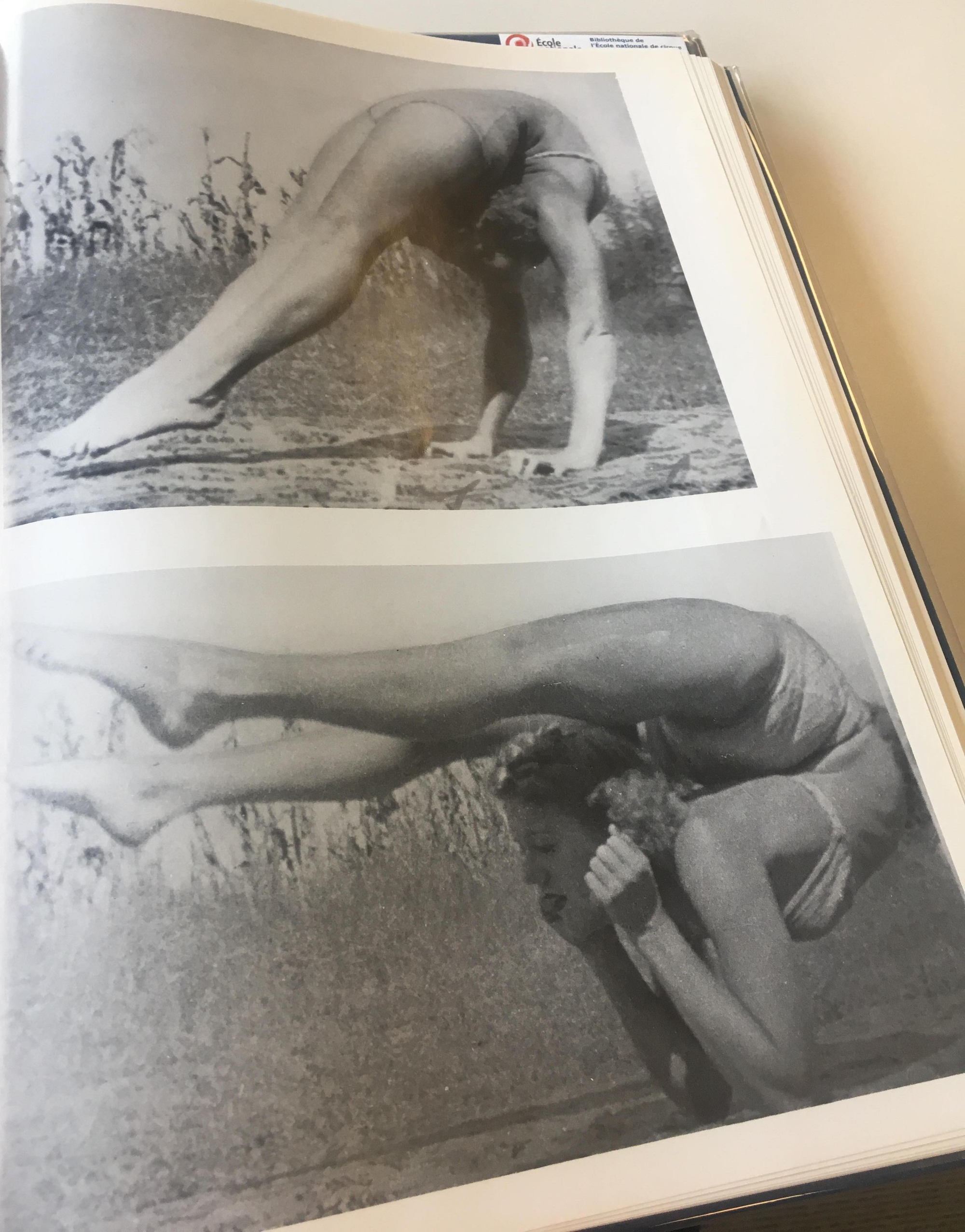 Vintage contortion ii