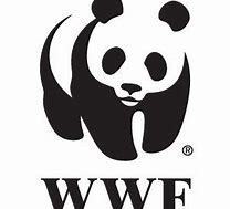 WWF