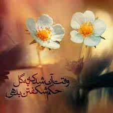 عکس گل نوشته دار
