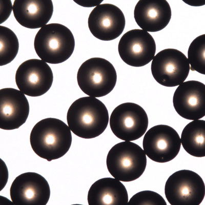 Poly(Methyl Methacrylate) Microspheres 