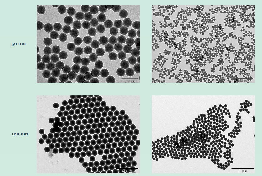 Non-functionalized silica nanoparticles 1µm