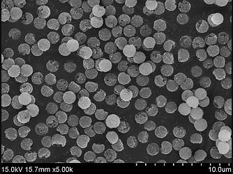 Magnetic Silica Beads & Microspheres