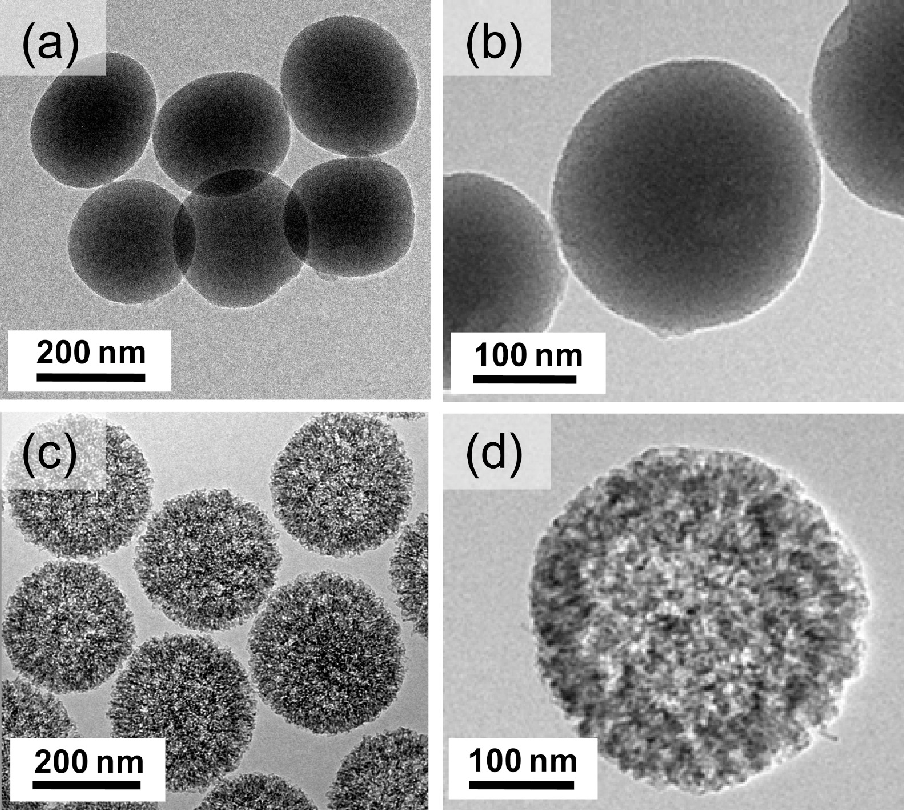  Magnetic Silica Nanoparticles