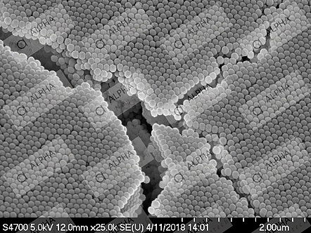 Silica Nanoparticles