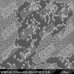 Silica Nanoparticles