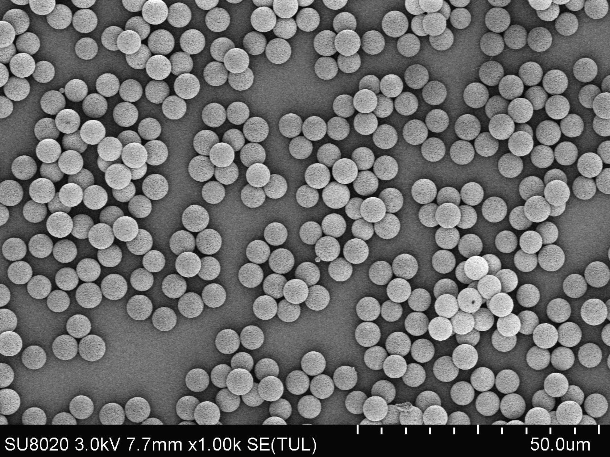 PMMA Nanoparticles