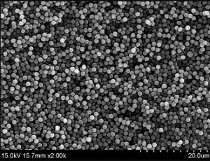 Magnetic silica nanoparticles