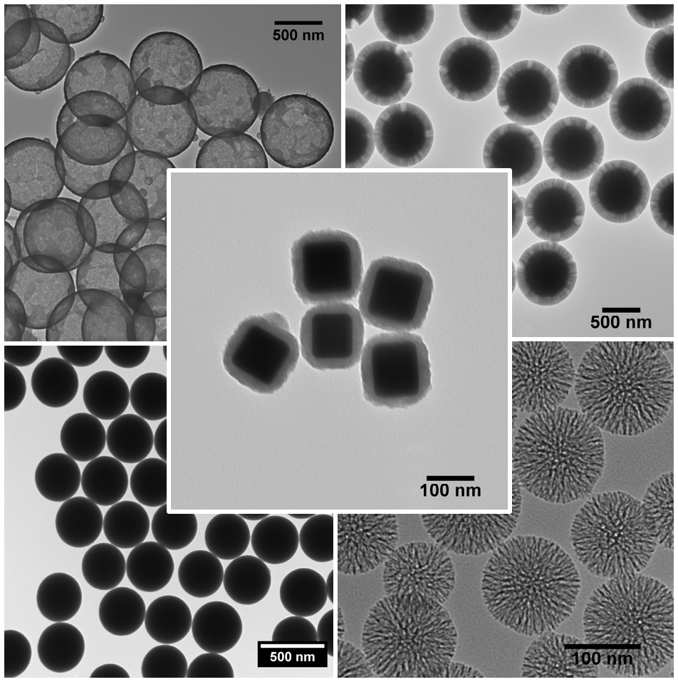 Non-functionalized silica nanoparticles 1µm