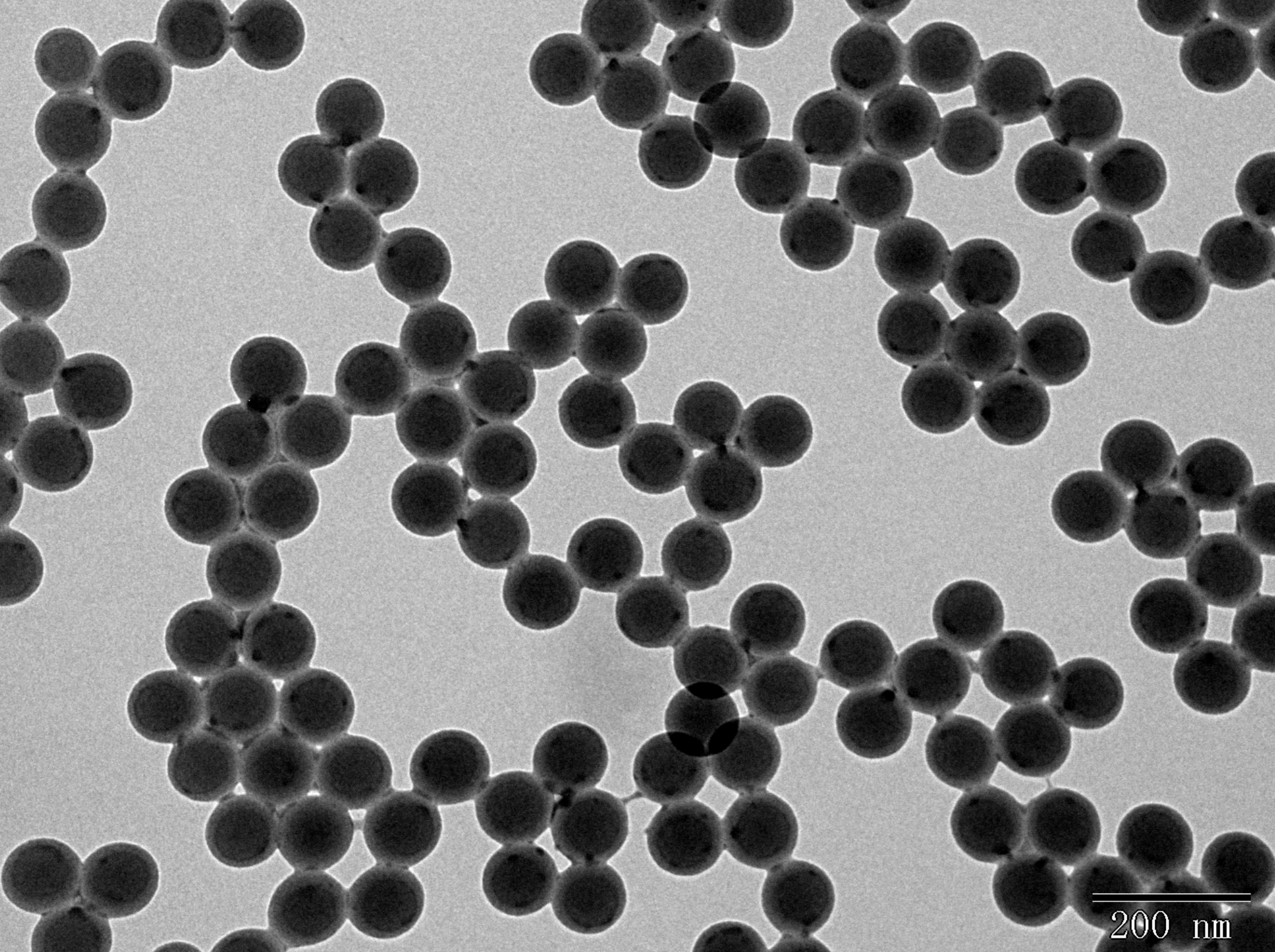polystyrene nanoparticles