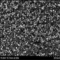 carboxyl-functionalized magnetic silica nanoparticles