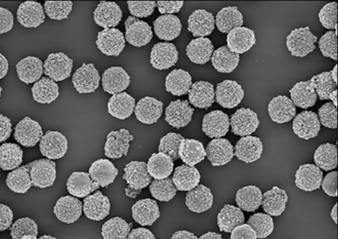 Colloidal polystyrene nanoparticles 1�m