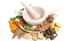 tanamal herbal mengobati kencing nanah alami