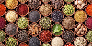 obat kencing nanah dengan bawang putih, daun siri, daun sirsak, lidah buaya