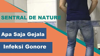 apa saja gejala infeksi saluran kemih