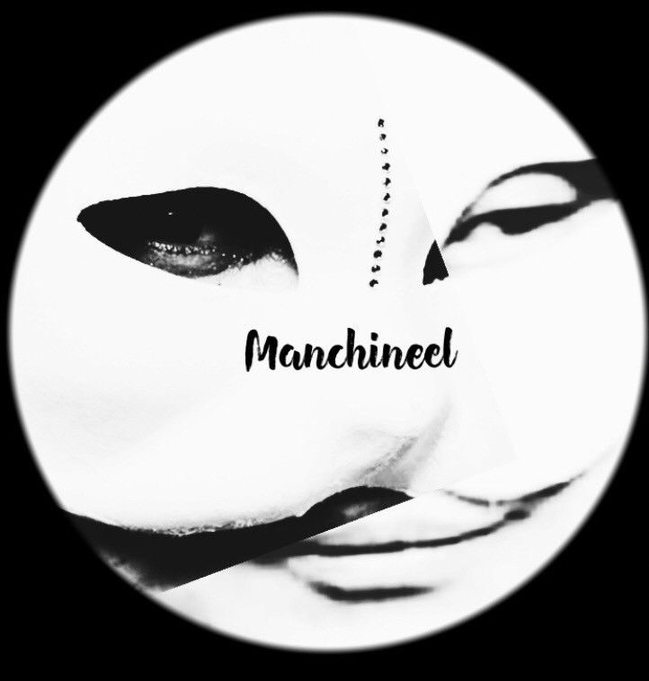 Manchineel
