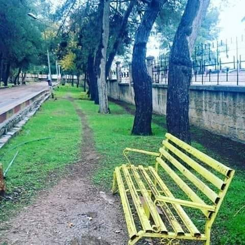 ربما تحتوي الصورة على: ‏‏‏‏أشخاص يجلسون‏، و‏نشاطات في أماكن مفتوحة‏‏ و‏طبيعة‏‏‏