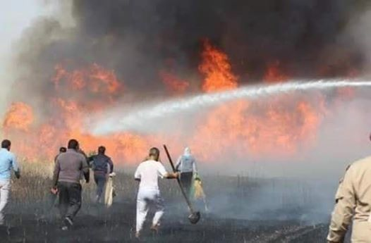 ربما تحتوي الصورة على: ‏‏‏‏شخص أو أكثر‏، و‏أشخاص يقفون‏‏ و‏نشاطات في أماكن مفتوحة‏‏‏