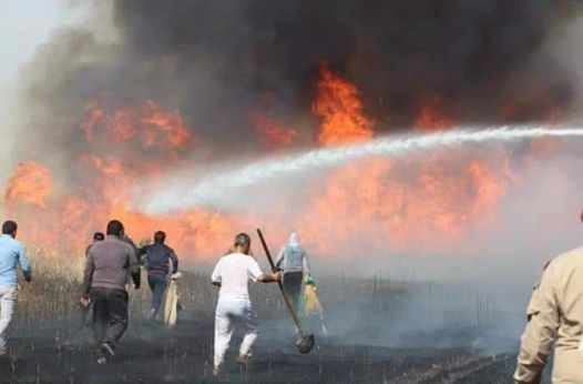 ربما تحتوي الصورة على: ‏‏‏‏شخص أو أكثر‏، و‏أشخاص يقفون‏‏ و‏نشاطات في أماكن مفتوحة‏‏‏