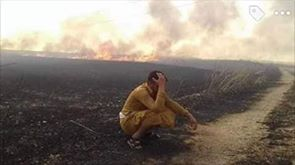 ربما تحتوي الصورة على: ‏‏‏‏شخص أو أكثر‏، و‏‏سماء‏، و‏نشاطات في أماكن مفتوحة‏‏‏ و‏طبيعة‏‏‏