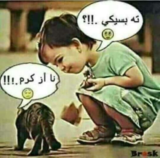 ربما تحتوي الصورة على: ‏‏شخص واحد‏، و‏‏جلوس‏‏‏