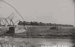 ربما تحتوي الصورة على: ‏‏‏‏محيط‏، ‏‏سماء‏، ‏نشاطات في أماكن مفتوحة‏‏‏ و‏ماء‏‏‏