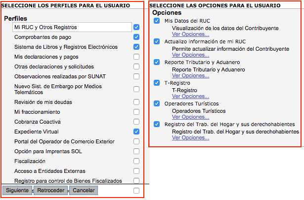 perfil usuario online
