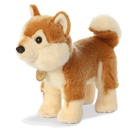 Chó Shiba