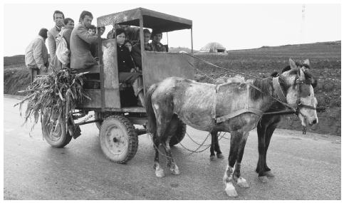 Agricultural workers travel between Tirana and Kavajë. While Albania has a large rural population, most families in the countryside can barely raise enough crops to feed themselves.