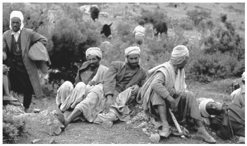 Algerian farmers in Ain Terzine. The Algerian agricultural industry is plagued by several factors, including drought and poor irrigation.