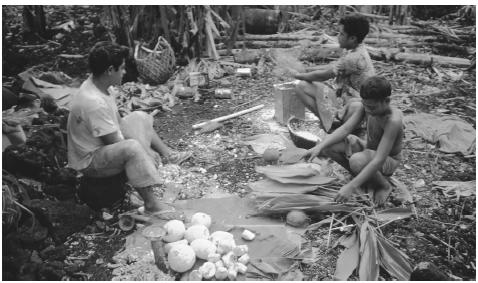 A group of Samoan men prepare an earth oven for use. In traditional Samoan culture, men were responsible for daily cooking and preparation of special events.