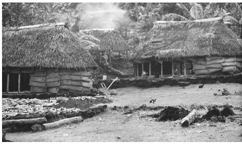 Fale houses in the village of Fituita.  Fale  homes were traditionally built with coral pebbles for flooring and sugarcane roof thatch.