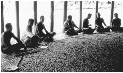 A village council meeting of chiefs. In American Samoa, village leadership is the function of a council made up of the chiefs, or  matai,  of each household.