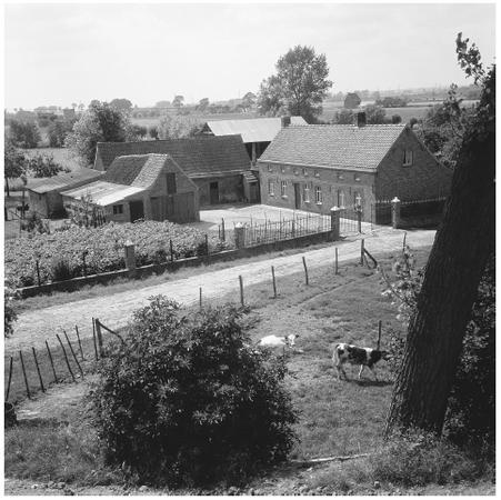 A typical farm in West Flanders. Livestock raising is the most important sector of Belgian agriculture.