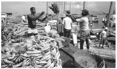 The market at Belem Port.