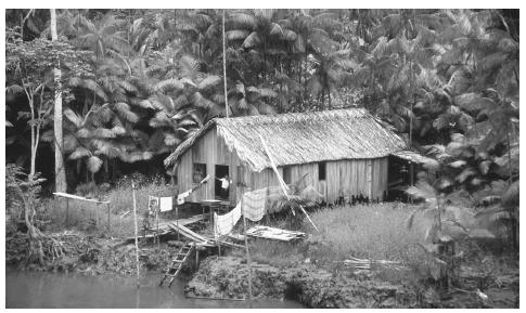 A house on the edge of the Amazon River. The Amazon forest is estimated to contain 15 to 30 percent of all species on earth.